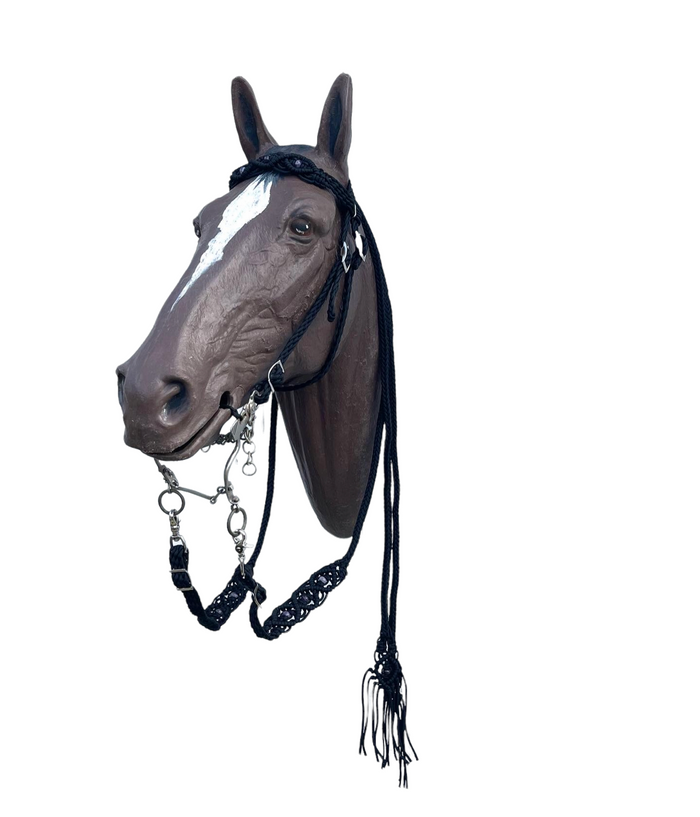 Beaded Browband Headstall with a fancy braided turquoise howlite browband all sizes