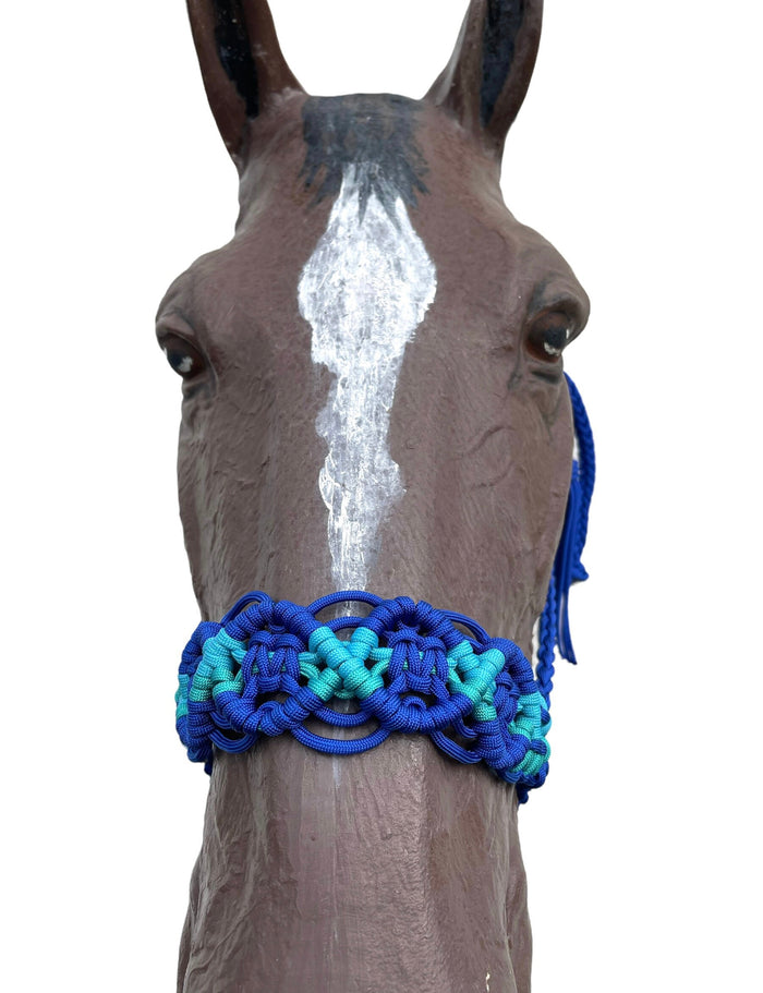Braided horse halter electric blue and teal