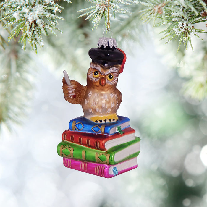 Christmas By Krebs Blown Glass Collectible Tree Ornaments (4" Owl Teacher)