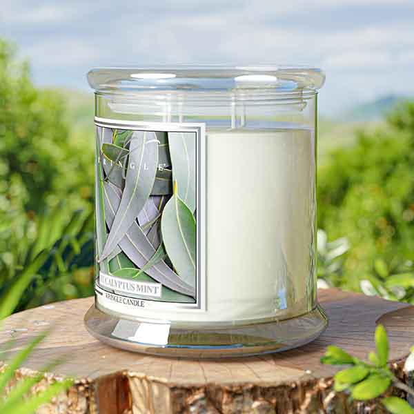 Eucalyptus Mint Scented 4-wick Candle