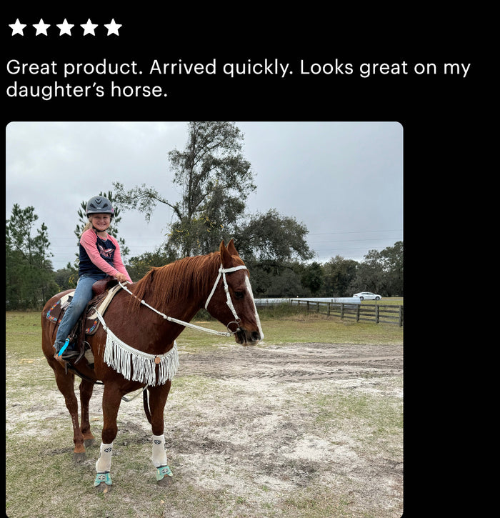 Fringe horse tack set, (fringe breast collar, wither strap, reins, and bridle) - Tiffanys Braided Tack LLC