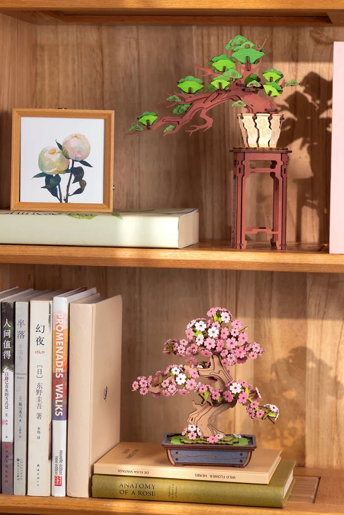 Hands Craft Evergreen Pine Bonsai - 3D Wooden Puzzle