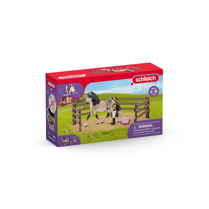 Horse care set, Andalusian