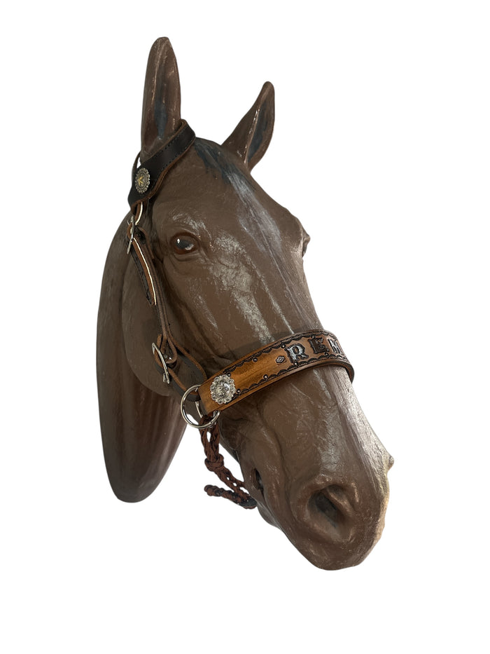Horse complete leather cross personalized Bitless bridle set
