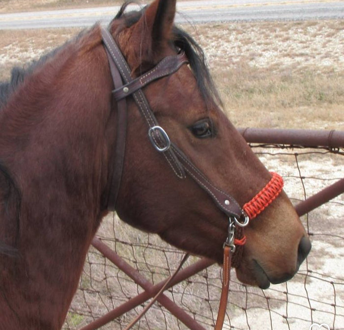 Neon orange side pull hackamore bitless attachment.... with black or brown chinstrap...all sizes