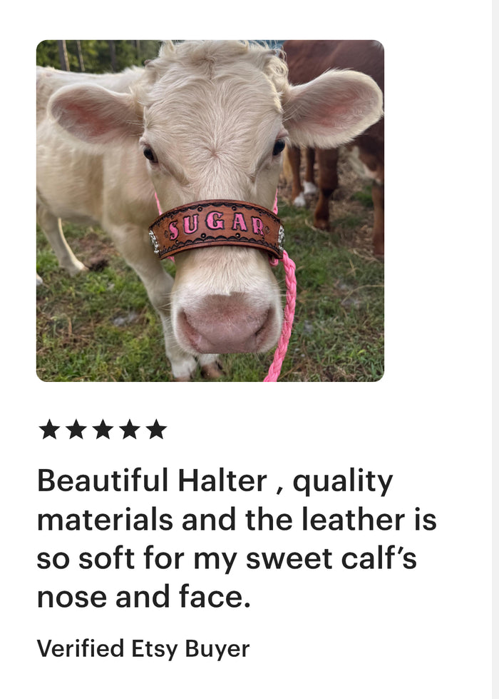 Personalized COW halter large cow or mini cow size light pink - Tiffanys Braided Tack LLC