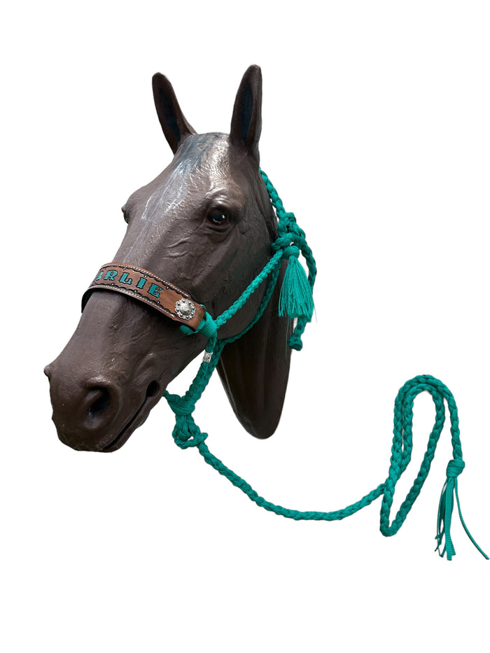 PERSONALIZED Green turquoise Braided mule tape horse halter leather noseband with flat noseband