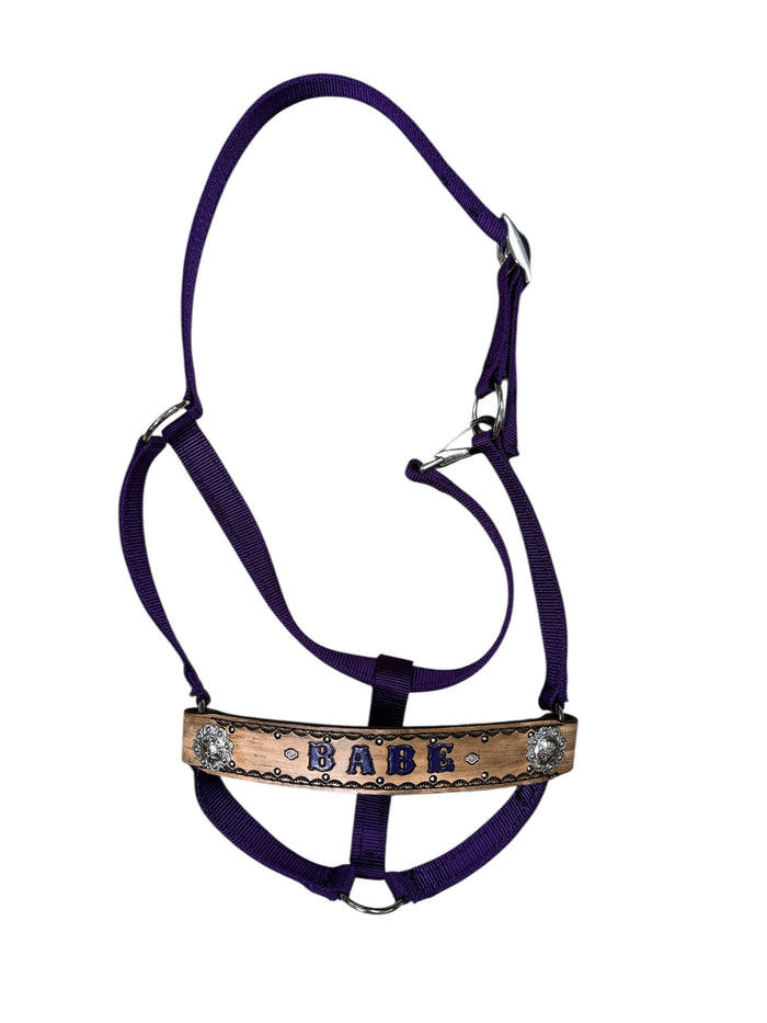 PERSONALIZED nylon horse halter purple