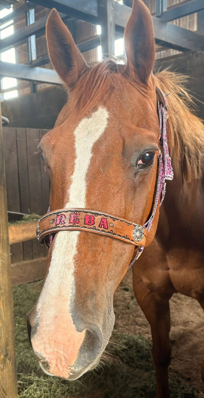 PERSONALIZED pink cheetah nylon horse halter.