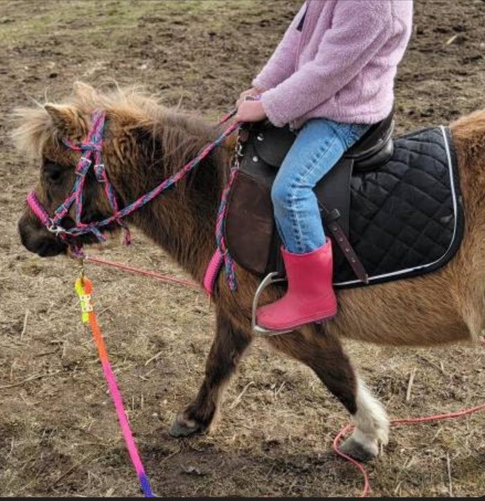 Pony Set- hot pink turquoise and lilac.