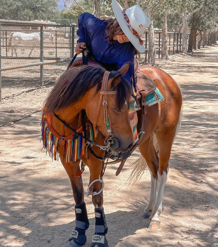 Red serape fringe breast collar with wither strap and barrel reins
