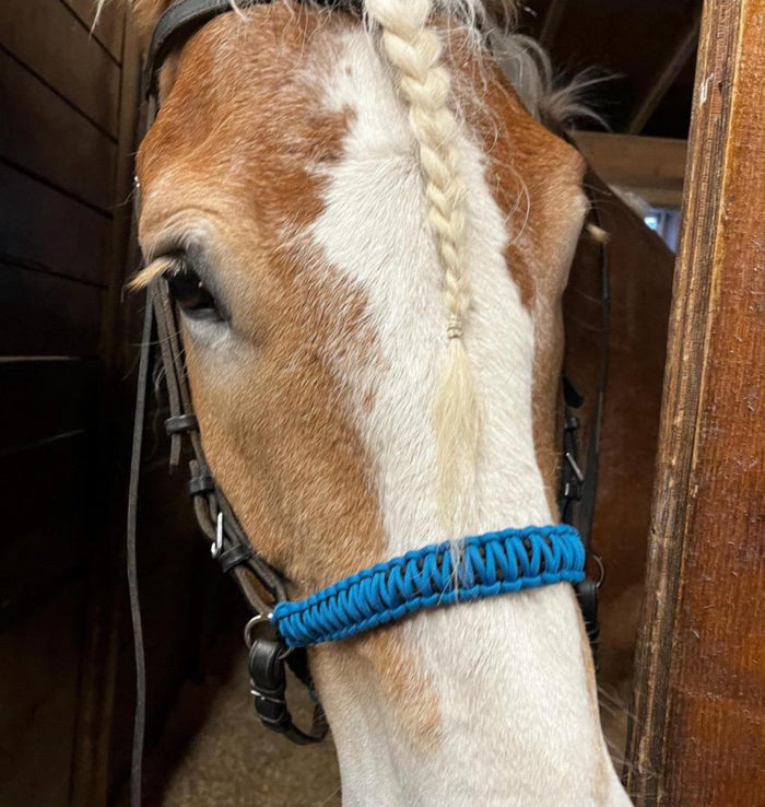 Side pull hackamore "with a whoa" bitless attachment.... black with brown chinstrap...all sizes