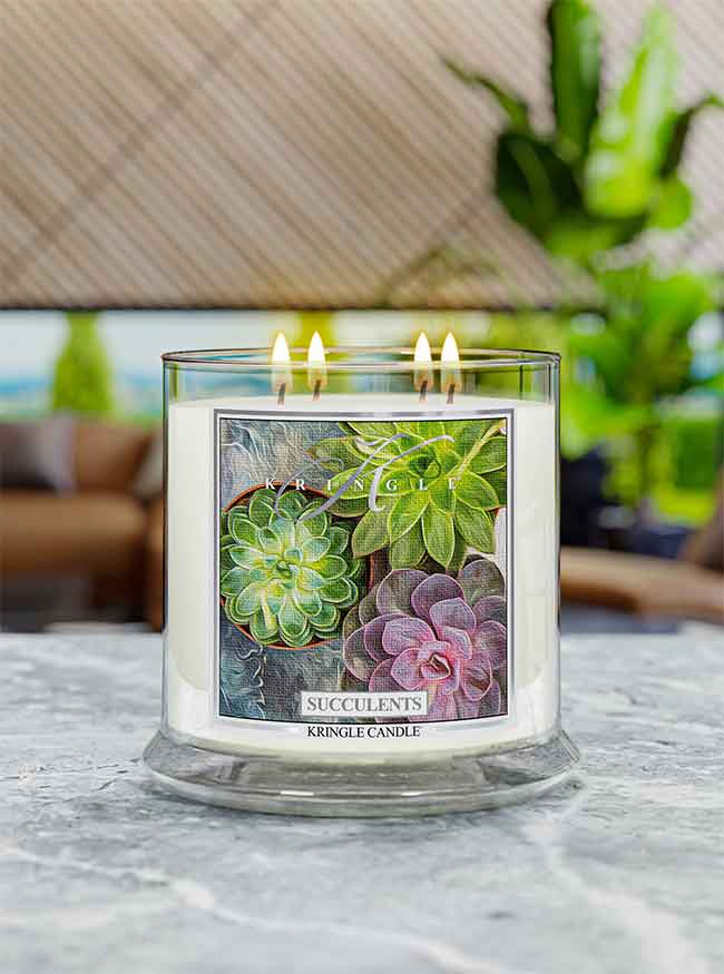 Succulents Scented 4-wick Lit Candle