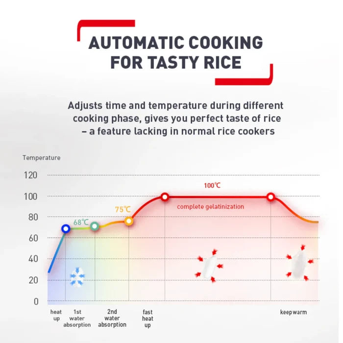 Tefal Easy Rice & Slow Cooker Plus RK736
