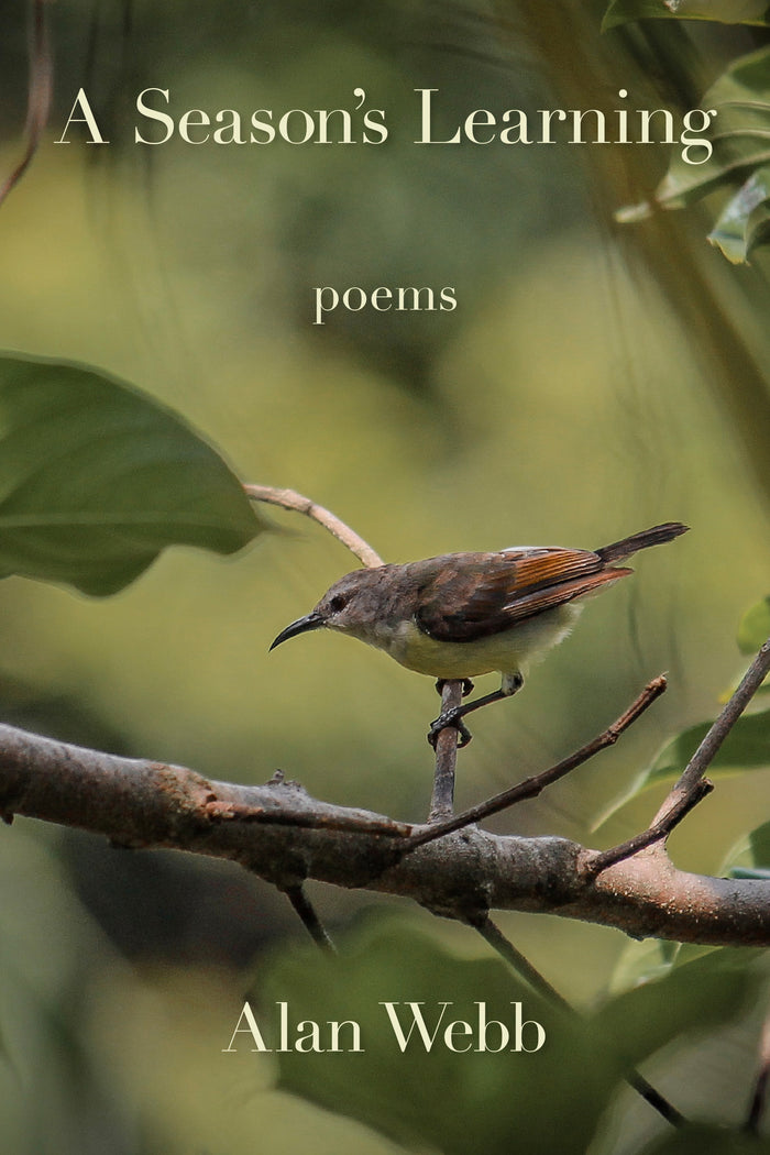 A Season’s Learning