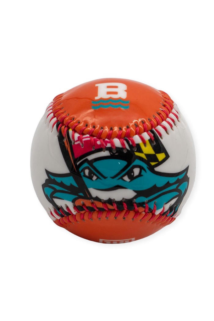 [ All Time Low x Chesapeake Baysox ] Chesapeake Wave Baseball - Official League