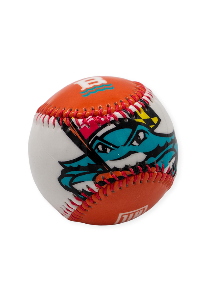 [ All Time Low x Chesapeake Baysox ] Chesapeake Wave Baseball - Official League