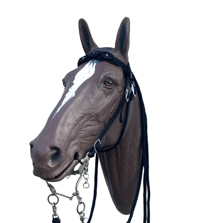 Beaded amethyst Browband Headstall with a fancy braided browband all sizes - Tiffanys Braided Tack LLC
