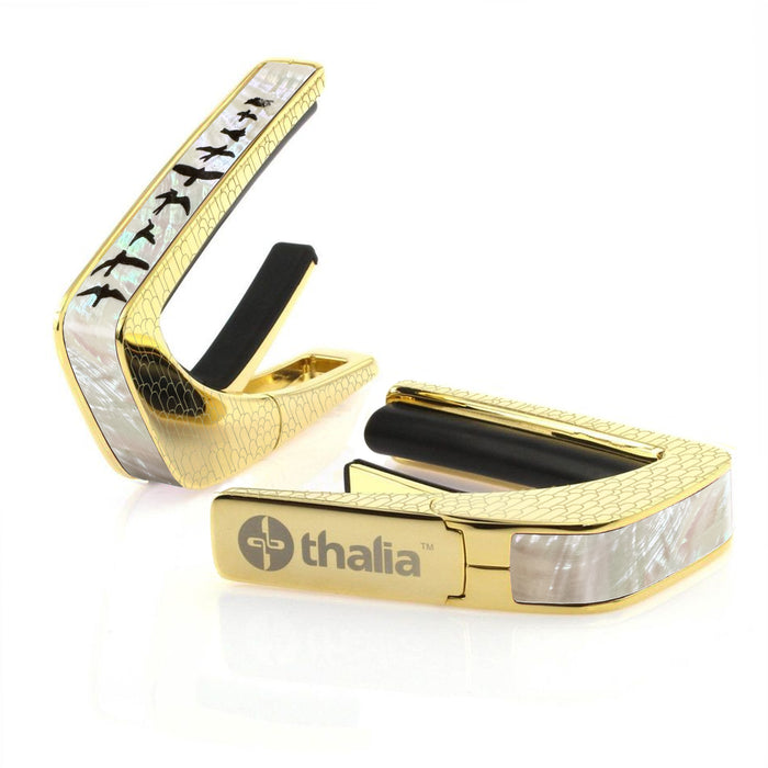 24K Gold / Deco