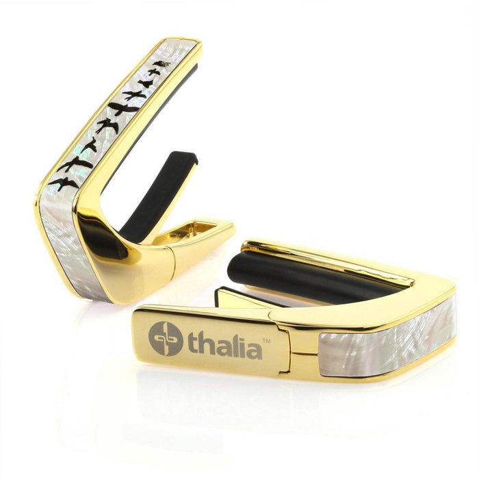 24K Gold / None
