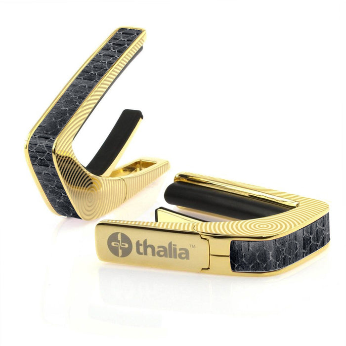 24K Gold / Circles