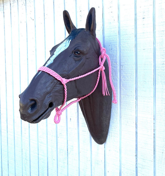Braided horse halter with flat noseband - Tiffanys Braided Tack LLC