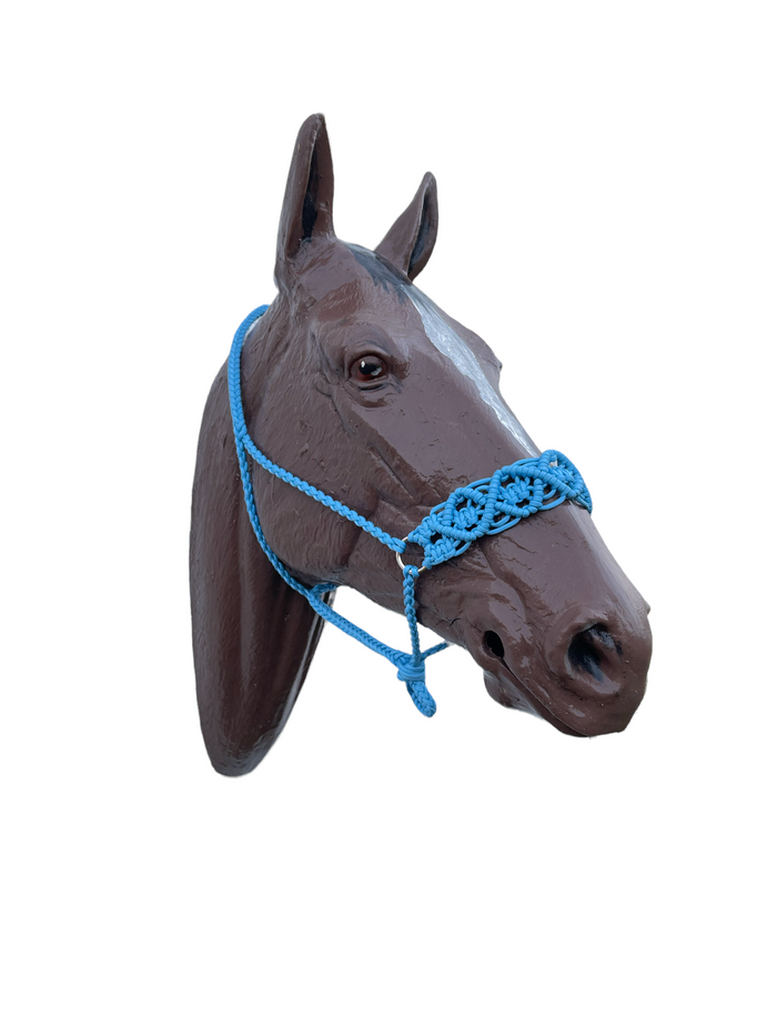 Braided horse halter. - Tiffanys Braided Tack LLC