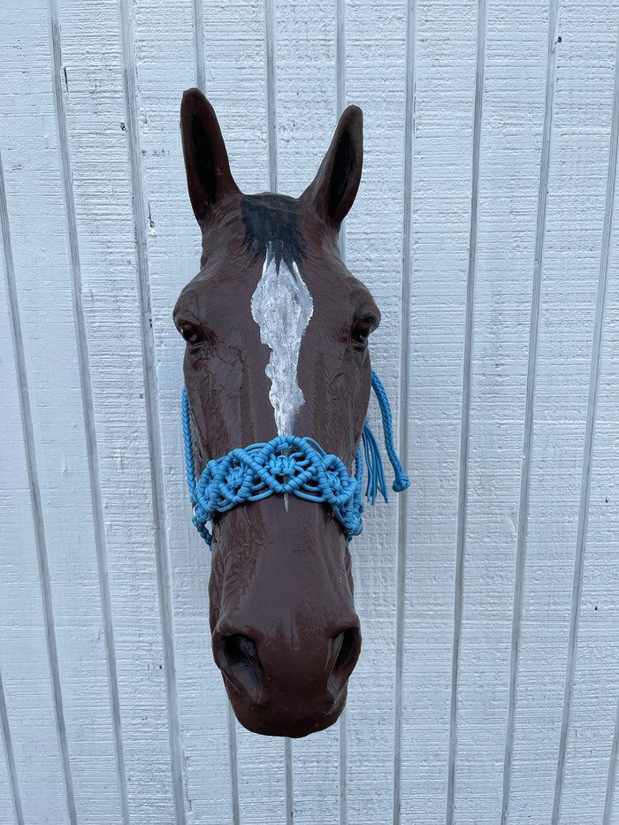 Braided horse halter. - Tiffanys Braided Tack LLC