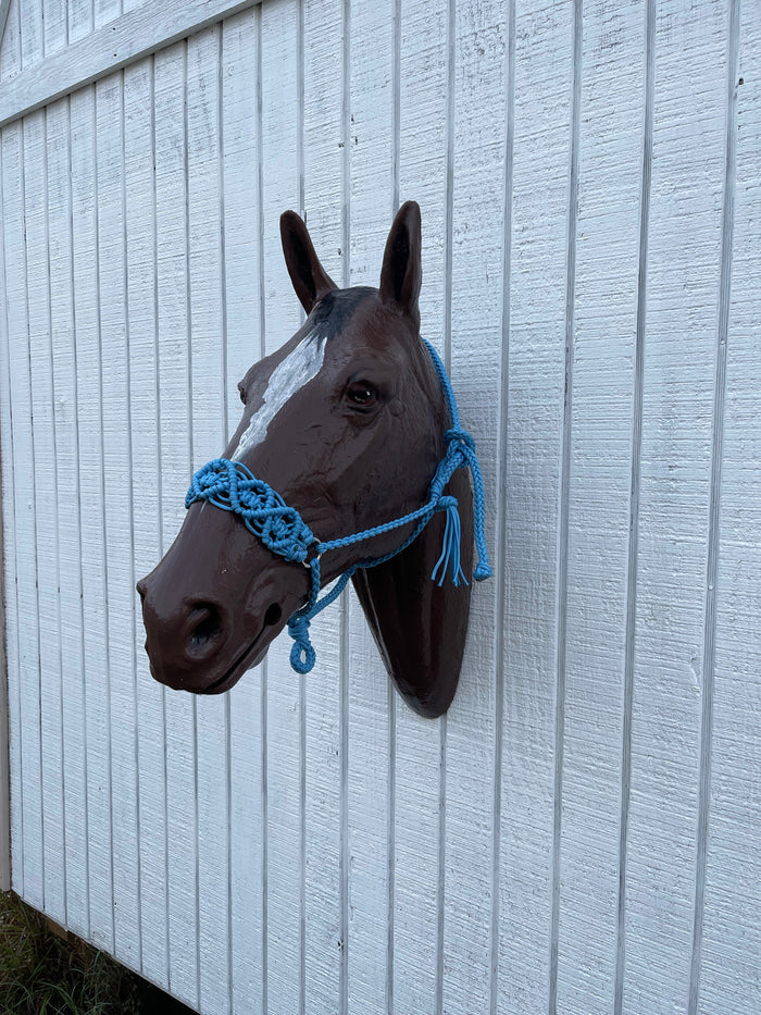 Braided horse halter. - Tiffanys Braided Tack LLC