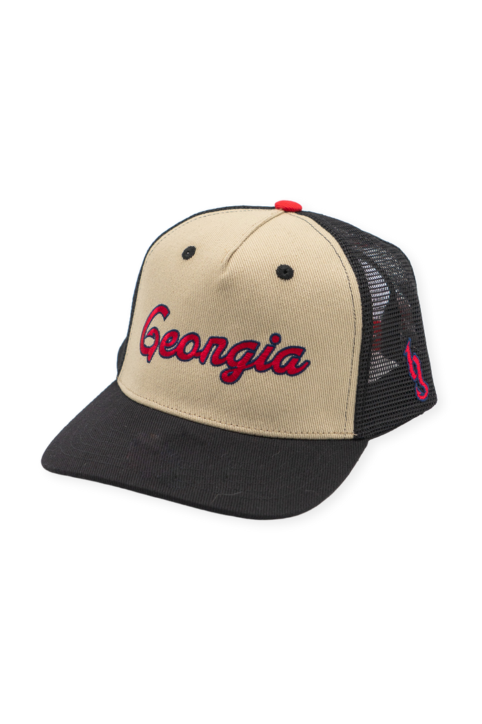 [ Brantley Gilbert x Gwinnett Stripers ] Georgia Driver - Official League