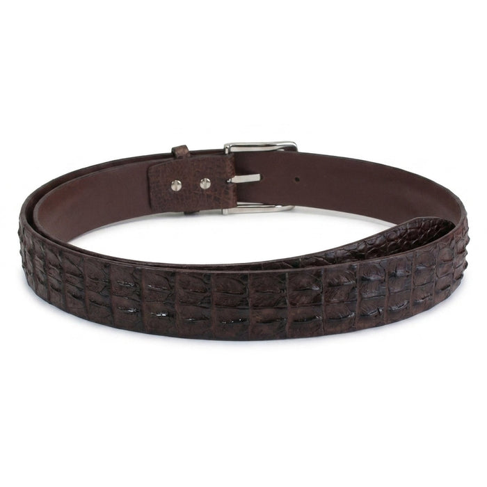 Full loop of the crocodile backbone belt laid flat, revealing the smooth brown lining and prong buckle billet