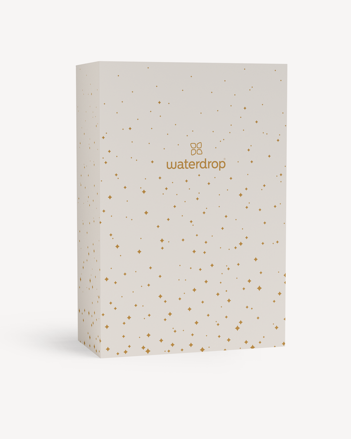 Christmas Gift Box (Reward)