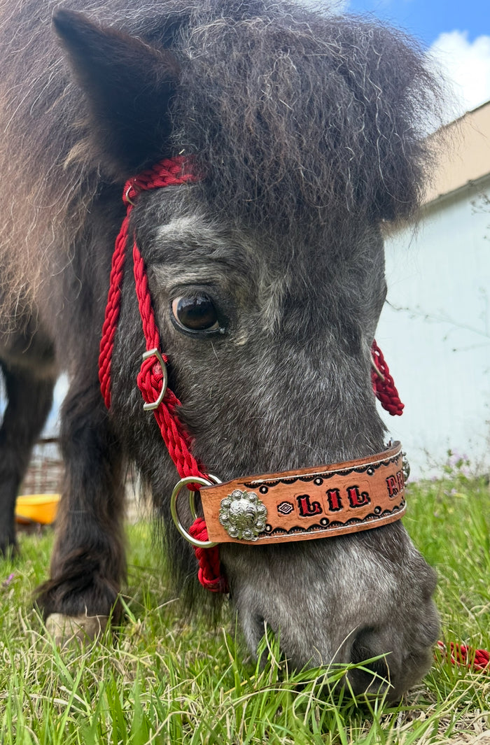 complete bitless bridle personalized  side pull hackamore red  ....pony, Cob, Horse. or Draft horse size