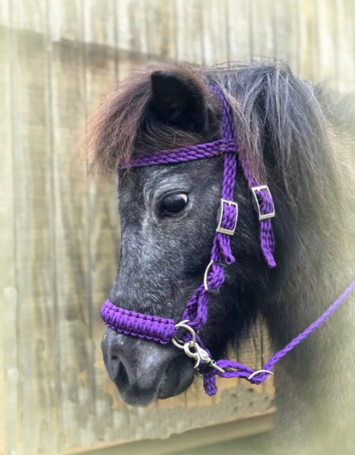 complete bitless bridle side pull hackamore with reins ....pony, Cob, Horse. or Draft horse size - Tiffanys Braided Tack LLC