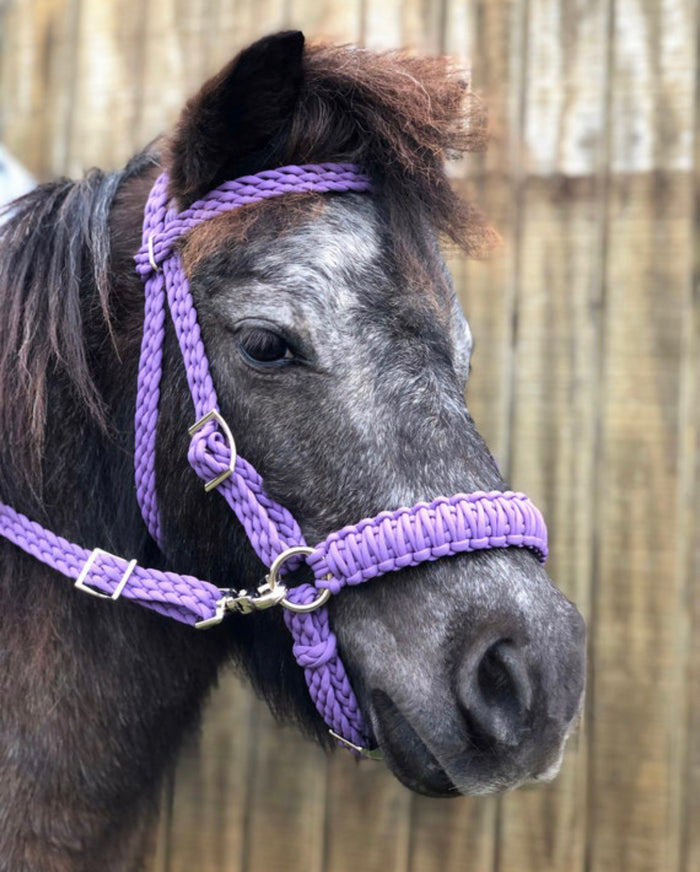 complete bitless bridle side pull hackamore with reins ....pony, Cob, Horse. or Draft horse size - Tiffanys Braided Tack LLC