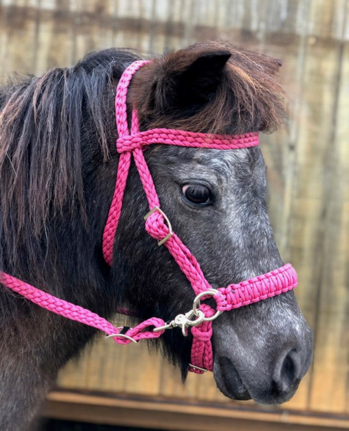 complete bitless bridle side pull hackamore with reins ....pony, Cob, Horse. or Draft horse size - Tiffanys Braided Tack LLC