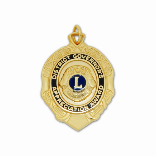 DISTRICT GOVERNOR AWARD MEDAL