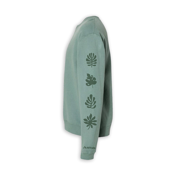 Foliage Comfort Wash Crew Sweatshirt - Cypress Midlayer Touchstone