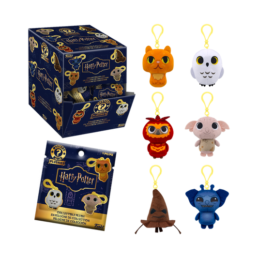 Funko Harry Potter : Harry Potter 1pc Keychain Mystery Minis