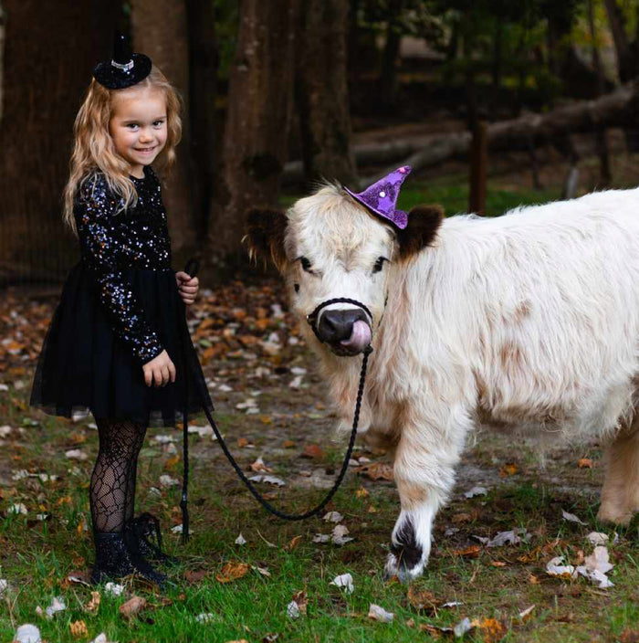 goat adjustable halter and lead, sheep, alpaca, small cow, etc. - Tiffanys Braided Tack LLC