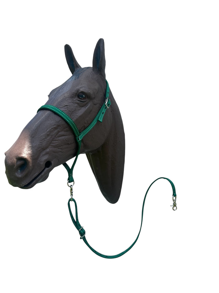 Green nylon tie down and tie down strap