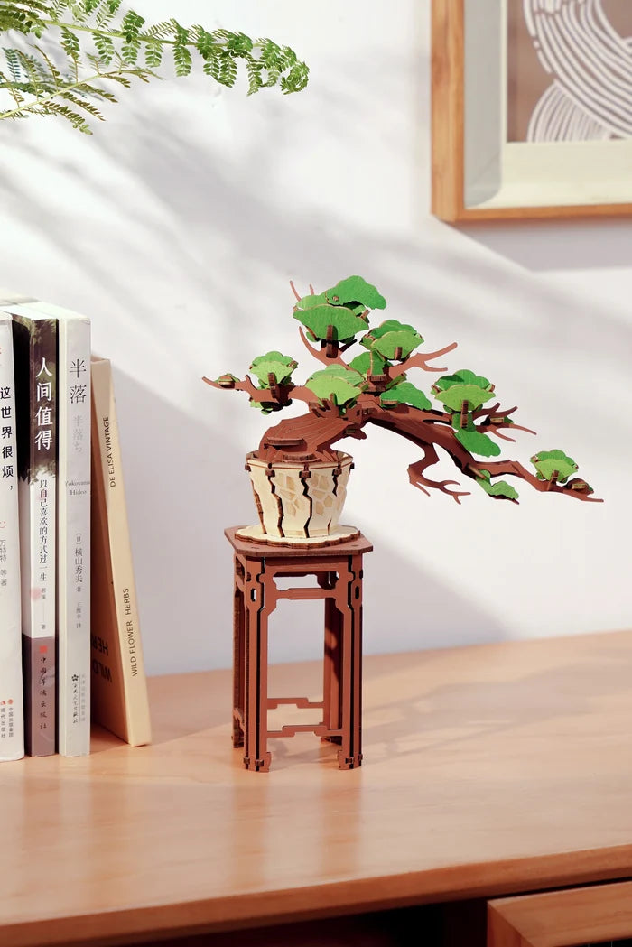 Hands Craft Evergreen Pine Bonsai - 3D Wooden Puzzle