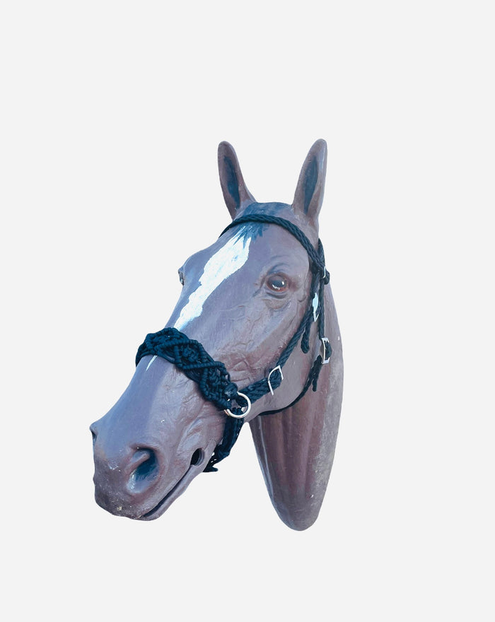 Horse Bitless bridle with fancy braided side pull hackamore - Tiffanys Braided Tack LLC