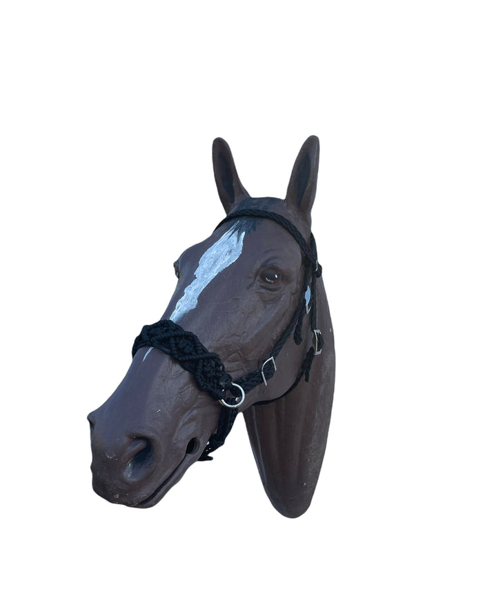 Horse Bitless bridle with fancy braided side pull hackamore - Tiffanys Braided Tack LLC