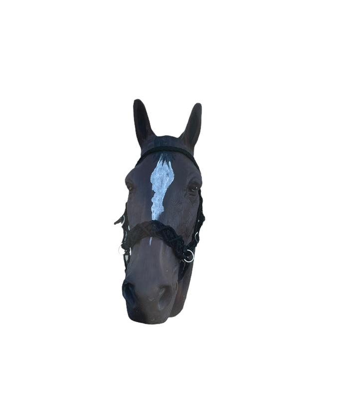 Horse Bitless bridle with fancy braided side pull hackamore - Tiffanys Braided Tack LLC