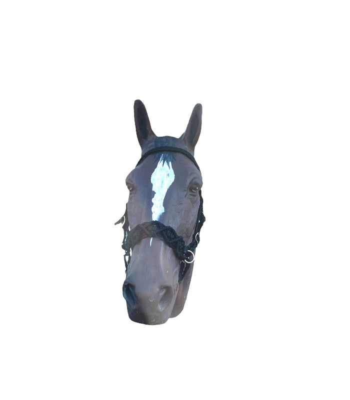 Horse Bitless bridle with fancy braided side pull hackamore - Tiffanys Braided Tack LLC