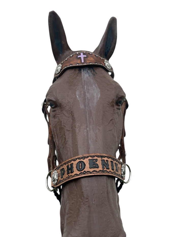 Horse complete leather cross personalized  Bitless bridle set