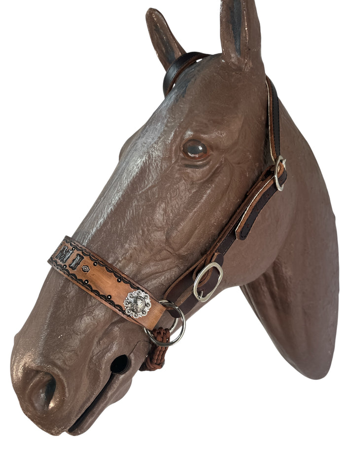 Horse complete leather cross personalized  Bitless bridle set