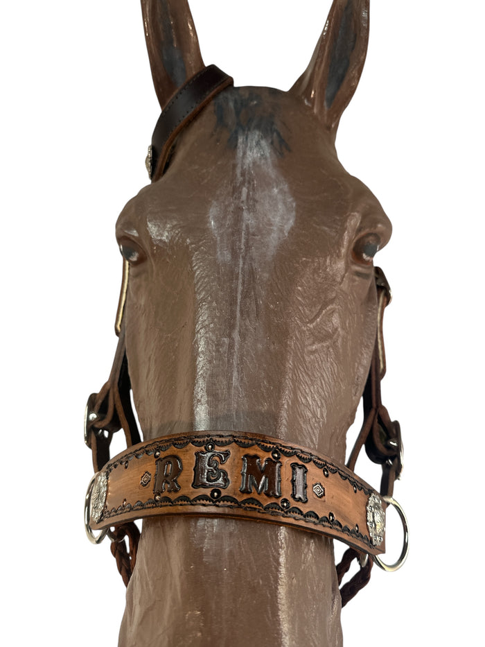 Horse complete leather cross personalized  Bitless bridle set