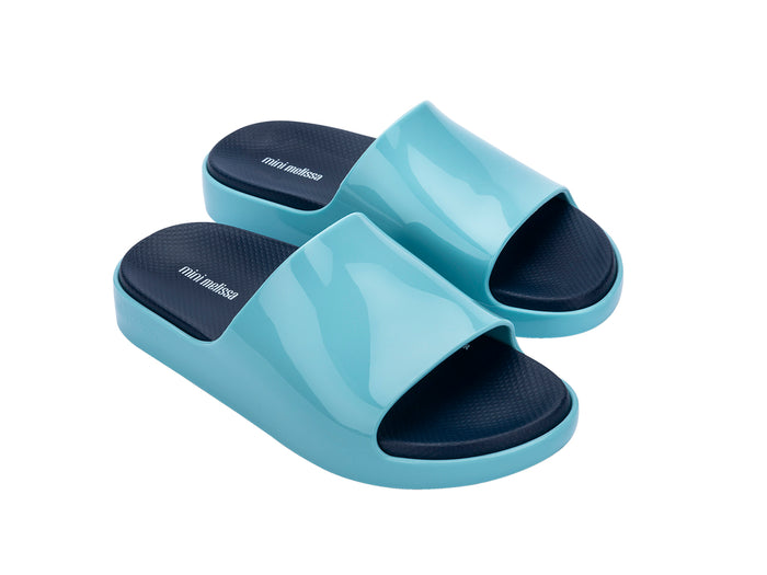 Blue Slipper